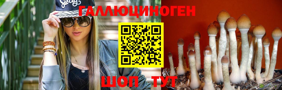 Коркино  Галлюциногенные грибы Magic Shrooms  Вход с VPN 